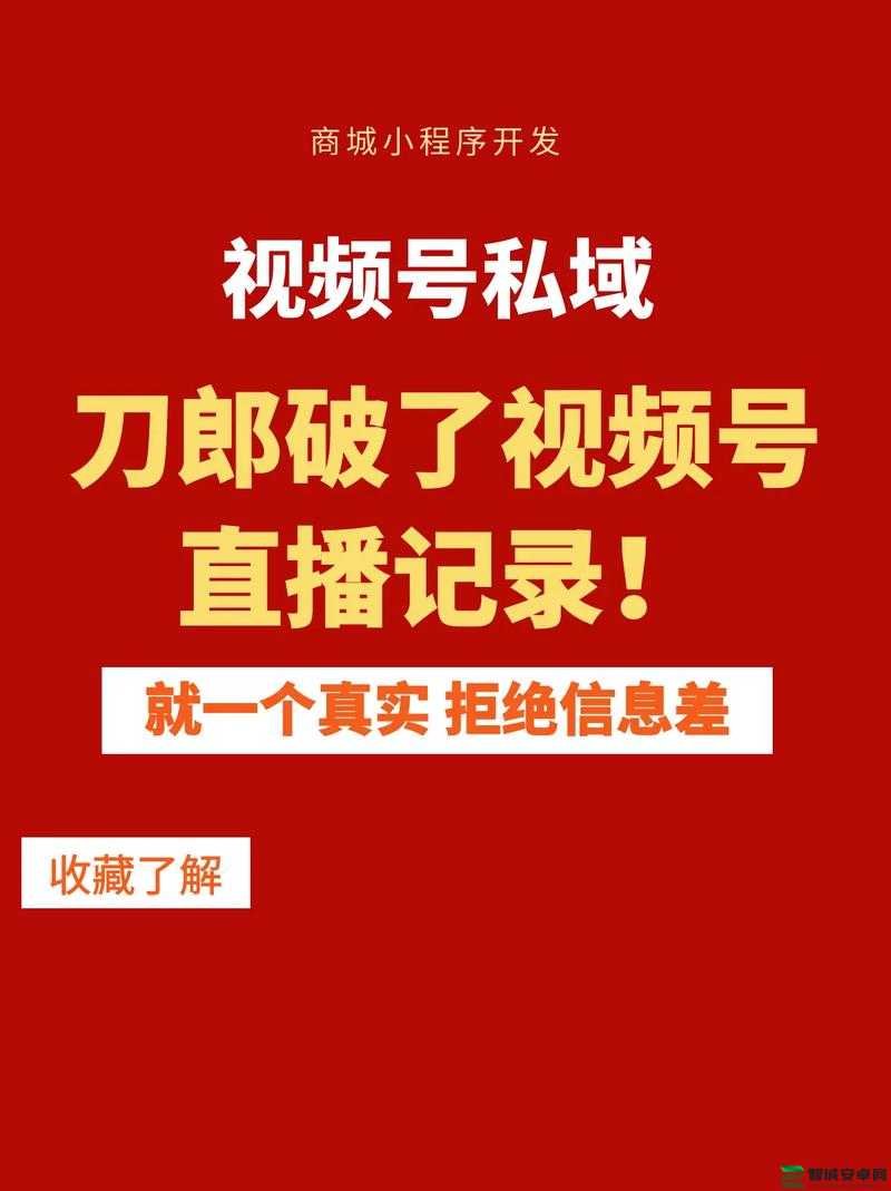 A8 直播免费版观看人数统计：探索其背后的观众行为模式